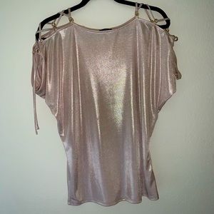 Express Shimmer Top